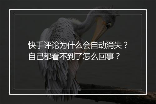 快手评论为什么会自动消失？自己都看不到了怎么回事？