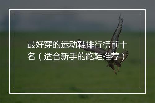 最好穿的运动鞋排行榜前十名（适合新手的跑鞋推荐）