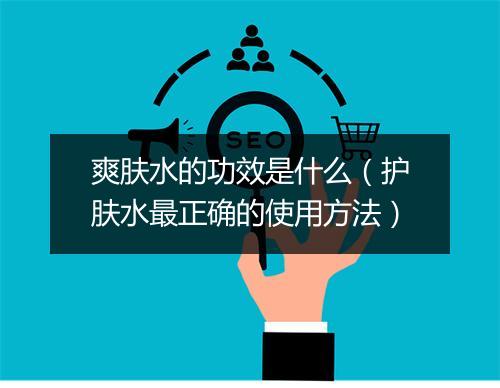 爽肤水的功效是什么（护肤水最正确的使用方法）