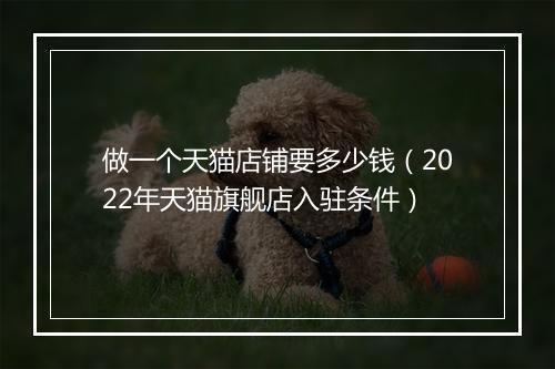 做一个天猫店铺要多少钱（2022年天猫旗舰店入驻条件）