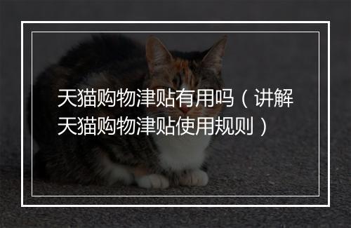 天猫购物津贴有用吗（讲解天猫购物津贴使用规则）