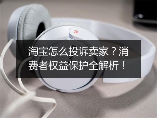 淘宝怎么投诉卖家？消费者权益保护全解析！