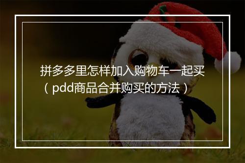 拼多多里怎样加入购物车一起买（pdd商品合并购买的方法）