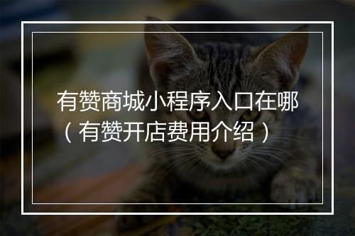 有赞商城小程序入口在哪（有赞开店费用介绍）
