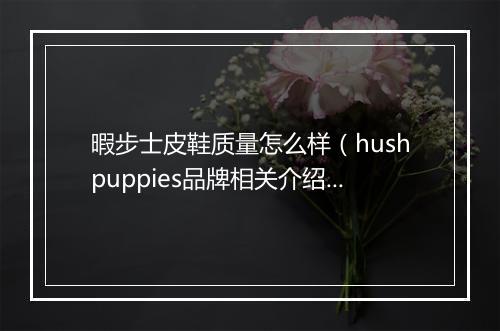 暇步士皮鞋质量怎么样（hushpuppies品牌相关介绍）