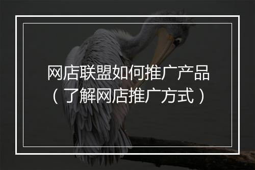 网店联盟如何推广产品（了解网店推广方式）