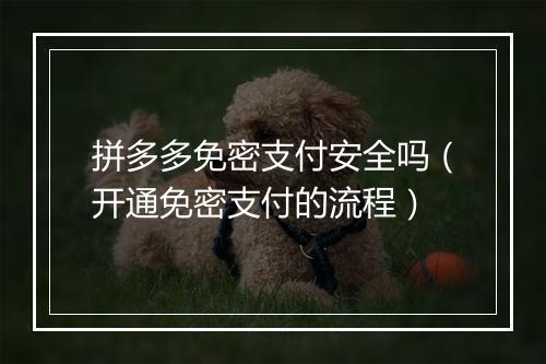 拼多多免密支付安全吗（开通免密支付的流程）
