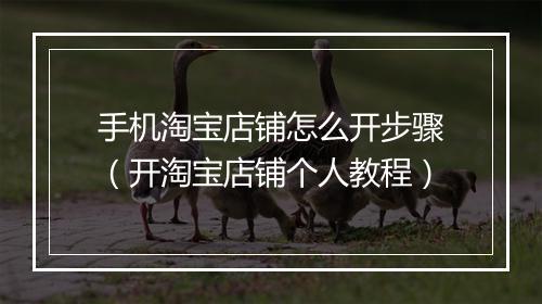 手机淘宝店铺怎么开步骤（开淘宝店铺个人教程）