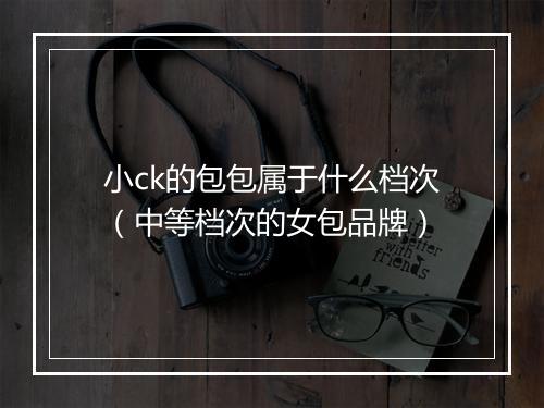 小ck的包包属于什么档次（中等档次的女包品牌）