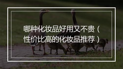 哪种化妆品好用又不贵（性价比高的化妆品推荐）