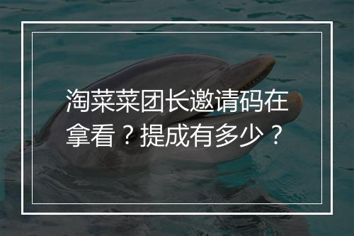淘菜菜团长邀请码在拿看？提成有多少？