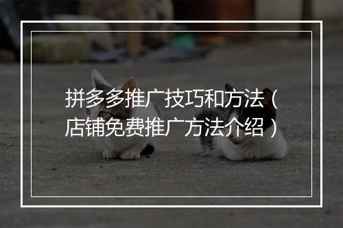 拼多多推广技巧和方法（店铺免费推广方法介绍）