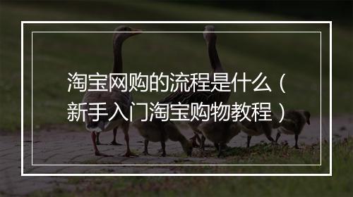 淘宝网购的流程是什么（新手入门淘宝购物教程）