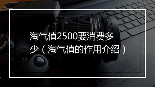 淘气值2500要消费多少（淘气值的作用介绍）