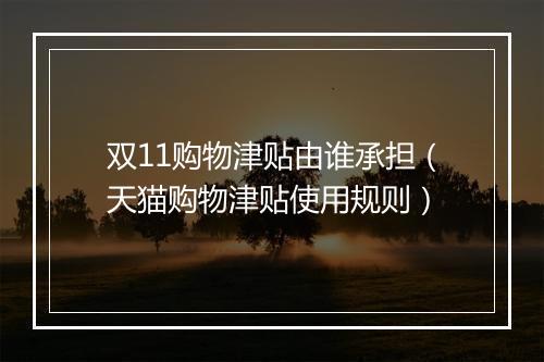 双11购物津贴由谁承担（天猫购物津贴使用规则）
