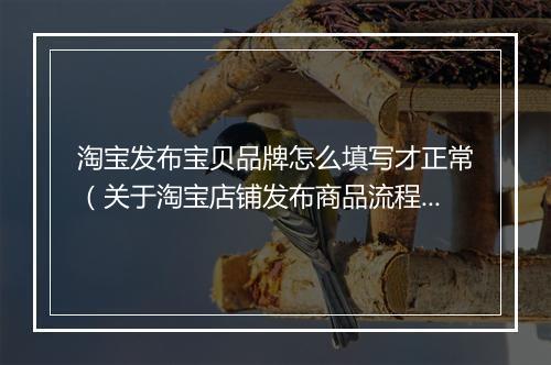 淘宝发布宝贝品牌怎么填写才正常（关于淘宝店铺发布商品流程）