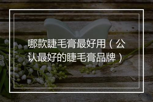 哪款睫毛膏最好用（公认最好的睫毛膏品牌）