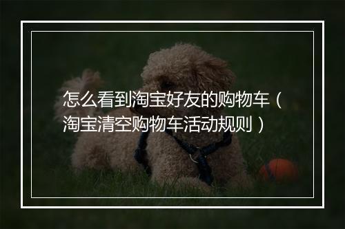 怎么看到淘宝好友的购物车（淘宝清空购物车活动规则）
