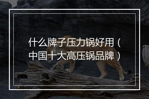 什么牌子压力锅好用（中国十大高压锅品牌）