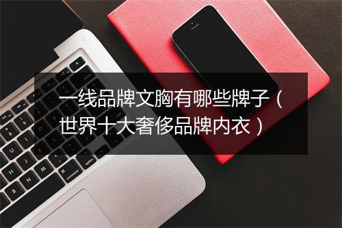 一线品牌文胸有哪些牌子（世界十大奢侈品牌内衣）