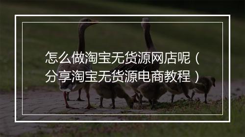 怎么做淘宝无货源网店呢（分享淘宝无货源电商教程）