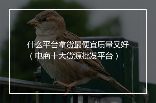 什么平台拿货最便宜质量又好（电商十大货源批发平台）