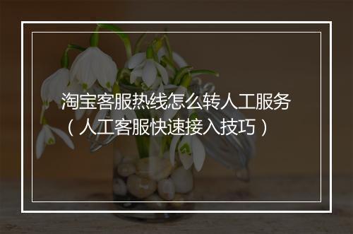 淘宝客服热线怎么转人工服务（人工客服快速接入技巧）