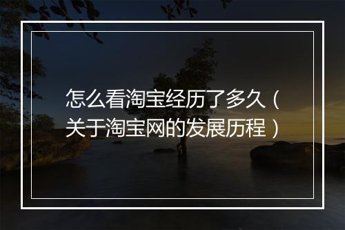 怎么看淘宝经历了多久（关于淘宝网的发展历程）