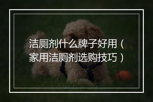 洁厕剂什么牌子好用（家用洁厕剂选购技巧）