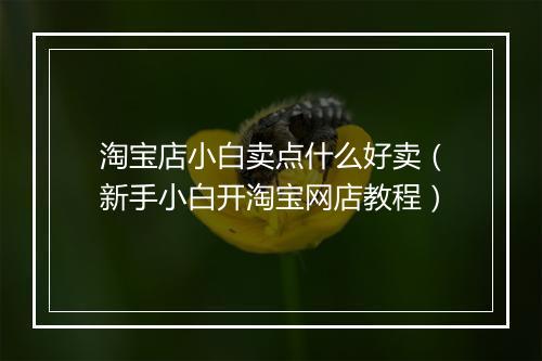 淘宝店小白卖点什么好卖（新手小白开淘宝网店教程）