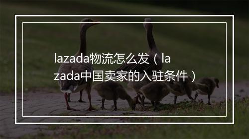 lazada物流怎么发（lazada中国卖家的入驻条件）