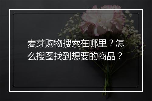 麦芽购物搜索在哪里？怎么搜图找到想要的商品？