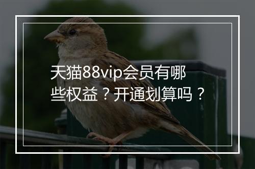 天猫88vip会员有哪些权益？开通划算吗？