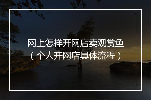网上怎样开网店卖观赏鱼（个人开网店具体流程）