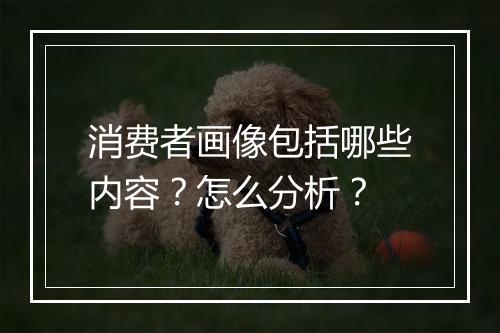 消费者画像包括哪些内容？怎么分析？
