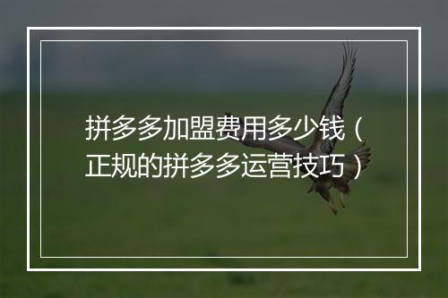 拼多多加盟费用多少钱（正规的拼多多运营技巧）