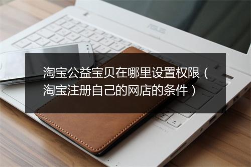 淘宝公益宝贝在哪里设置权限（淘宝注册自己的网店的条件）