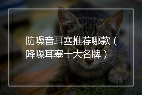 防噪音耳塞推荐哪款（降噪耳塞十大名牌）