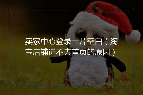 卖家中心登录一片空白（淘宝店铺进不去首页的原因）