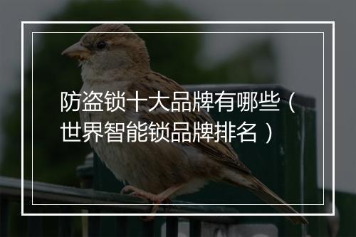 防盗锁十大品牌有哪些（世界智能锁品牌排名）