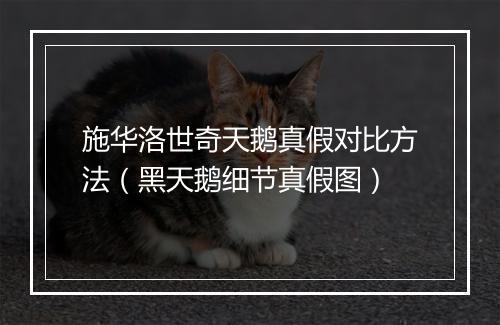 施华洛世奇天鹅真假对比方法（黑天鹅细节真假图）