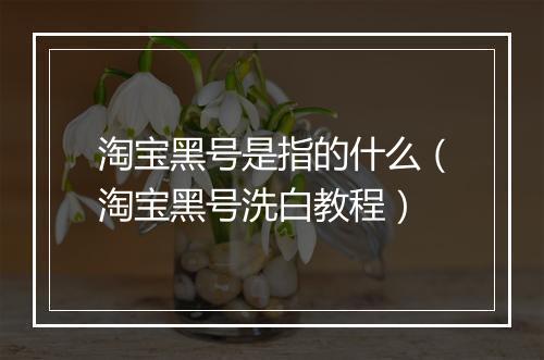 淘宝黑号是指的什么（淘宝黑号洗白教程）