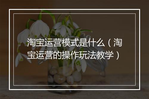 淘宝运营模式是什么（淘宝运营的操作玩法教学）