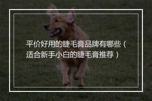 平价好用的睫毛膏品牌有哪些（适合新手小白的睫毛膏推荐）