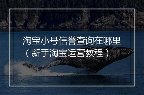 淘宝小号信誉查询在哪里（新手淘宝运营教程）
