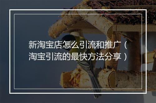新淘宝店怎么引流和推广（淘宝引流的最快方法分享）