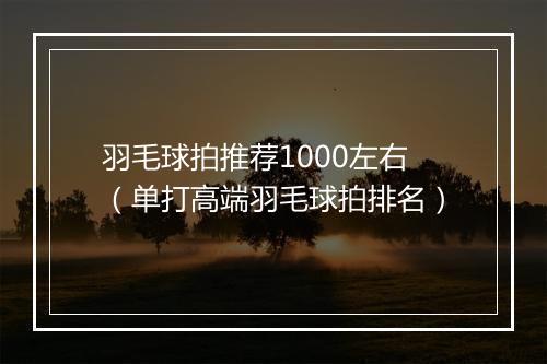 羽毛球拍推荐1000左右（单打高端羽毛球拍排名）