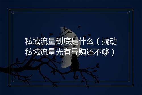 私域流量到底是什么（撬动私域流量光有导购还不够）