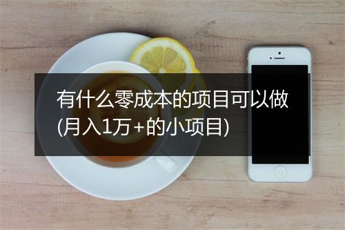 有什么零成本的项目可以做(月入1万+的小项目)
