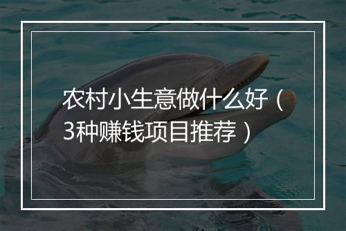 农村小生意做什么好（3种赚钱项目推荐）